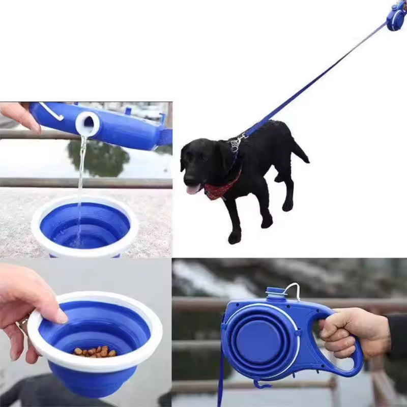 dog leash